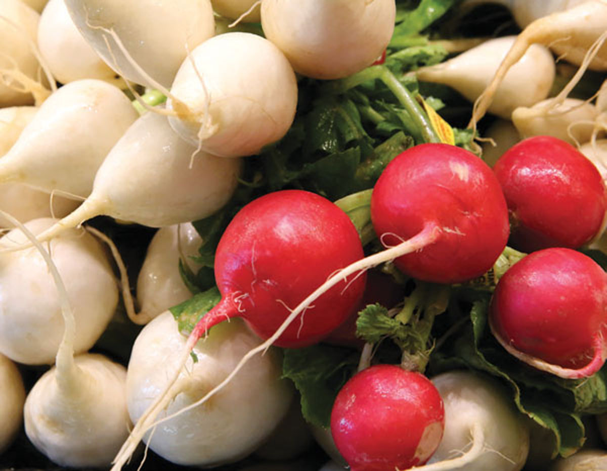 Reach Beyond Red Radishes